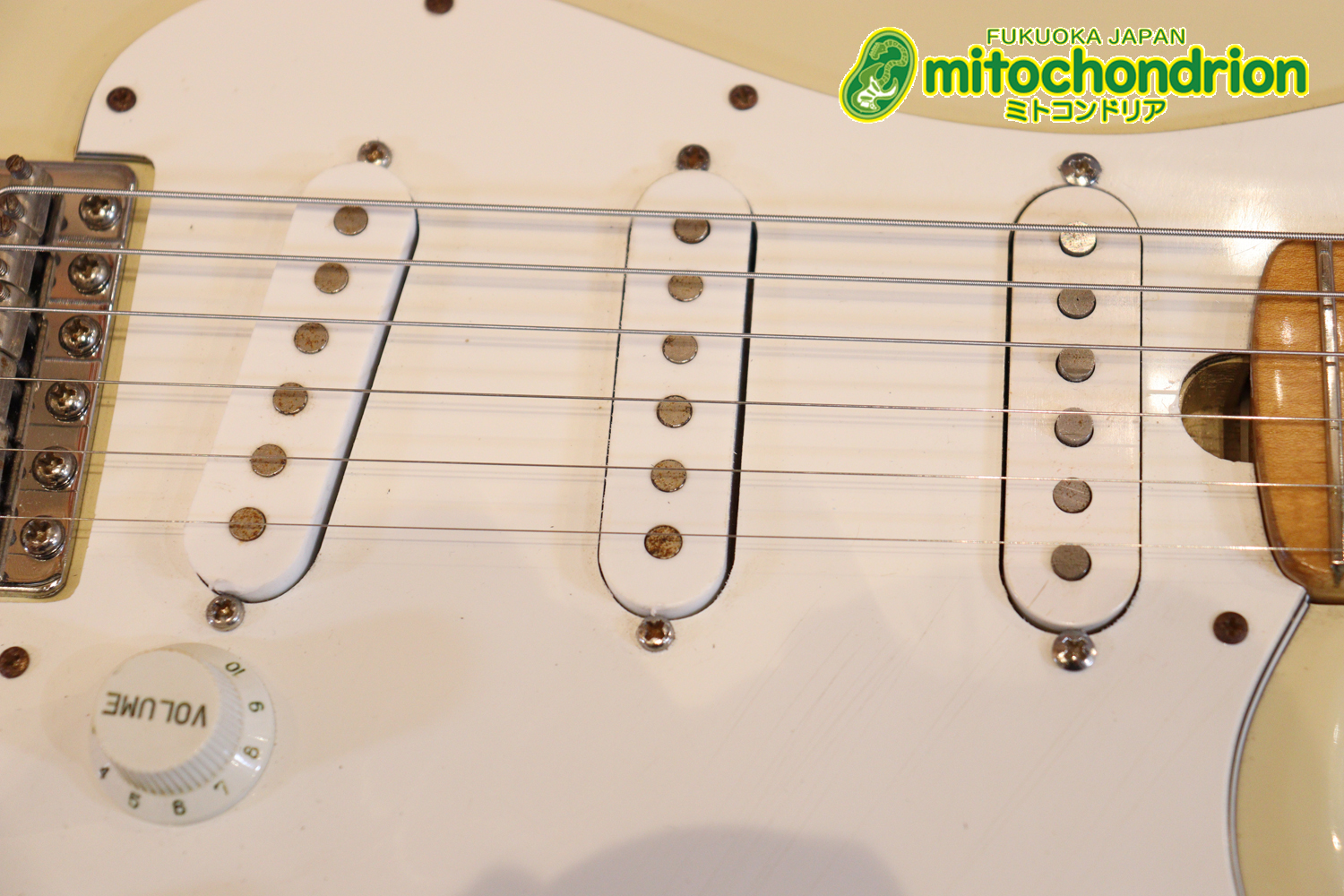 懐かしいギャバンのストラトタイプです！