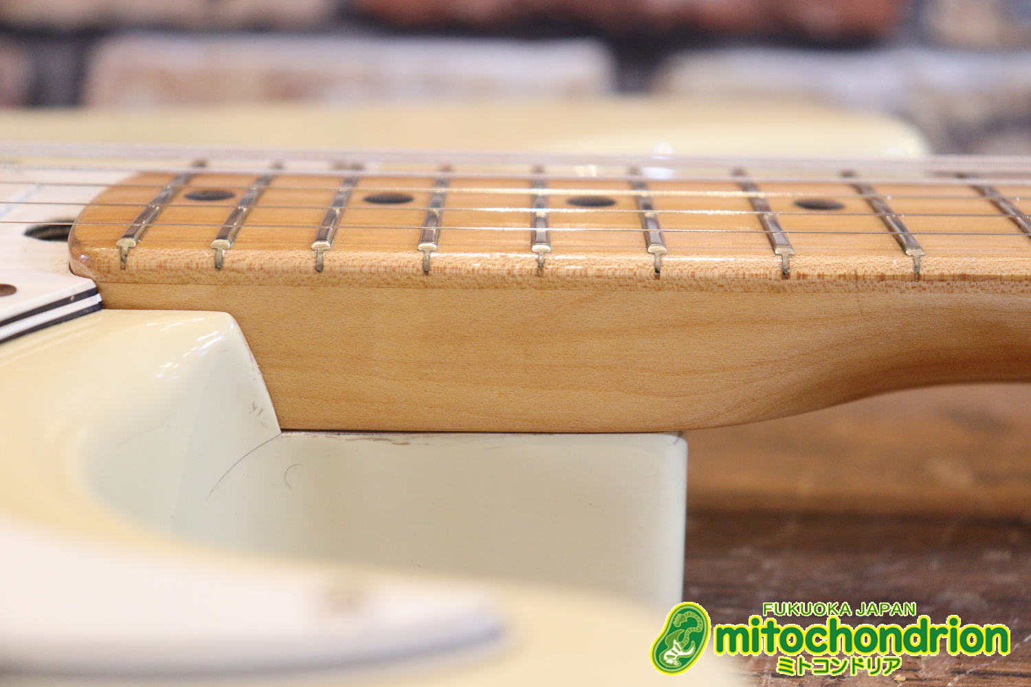 懐かしいギャバンのストラトタイプです！