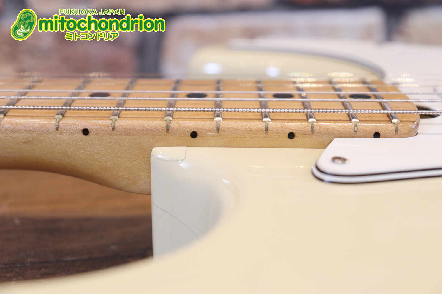 懐かしいギャバンのストラトタイプです！