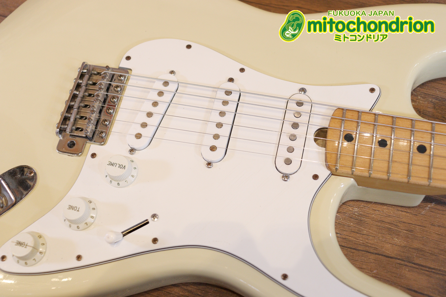 懐かしいギャバンのストラトタイプです！