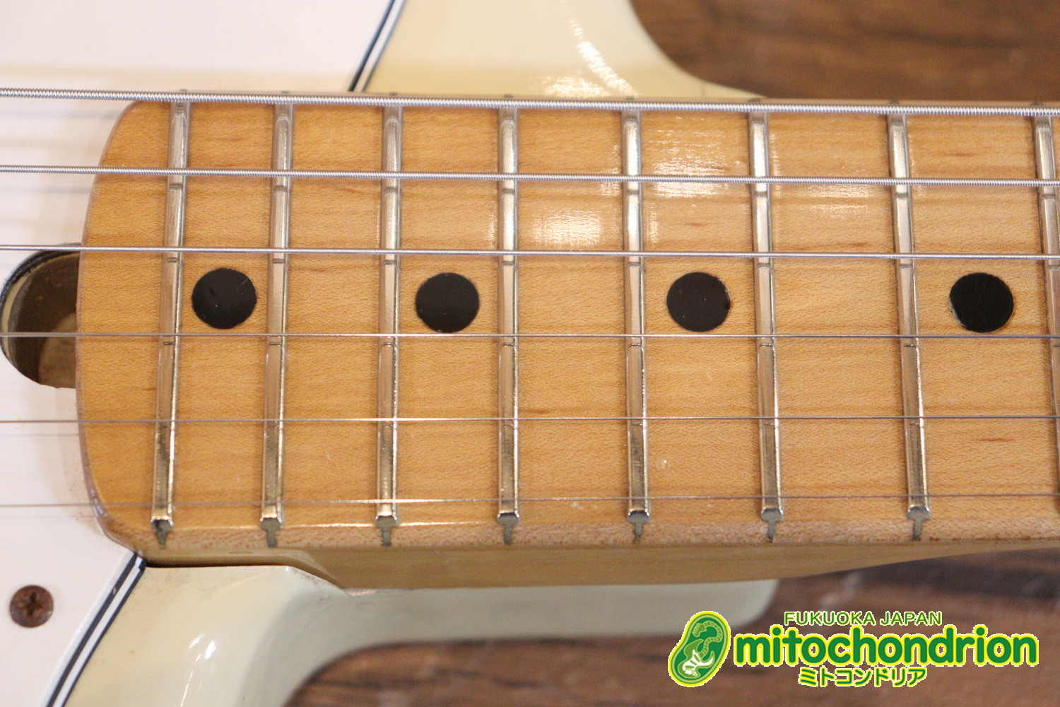 懐かしいギャバンのストラトタイプです！