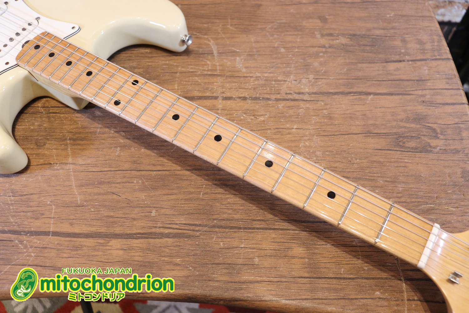 懐かしいギャバンのストラトタイプです！