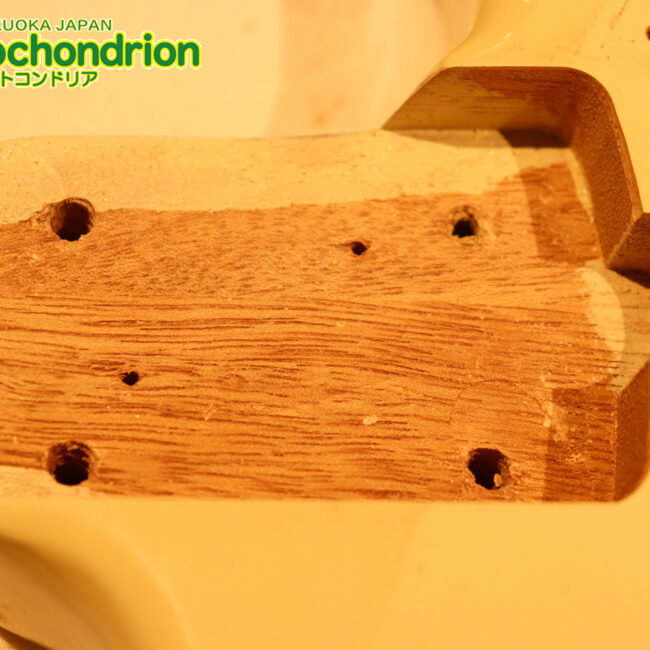 懐かしいギャバンのストラトタイプです！