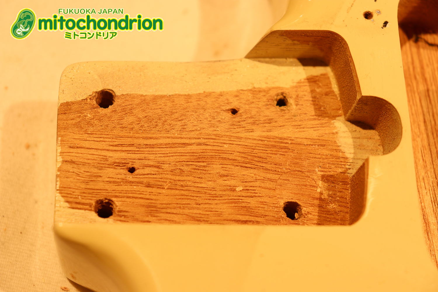 懐かしいギャバンのストラトタイプです！