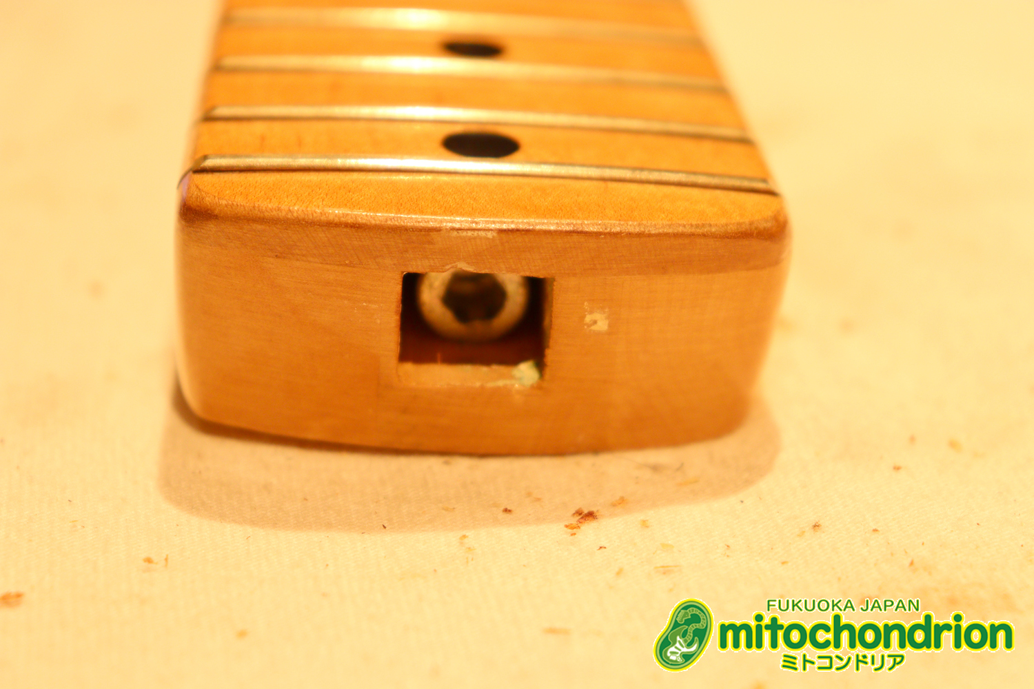 懐かしいギャバンのストラトタイプです！