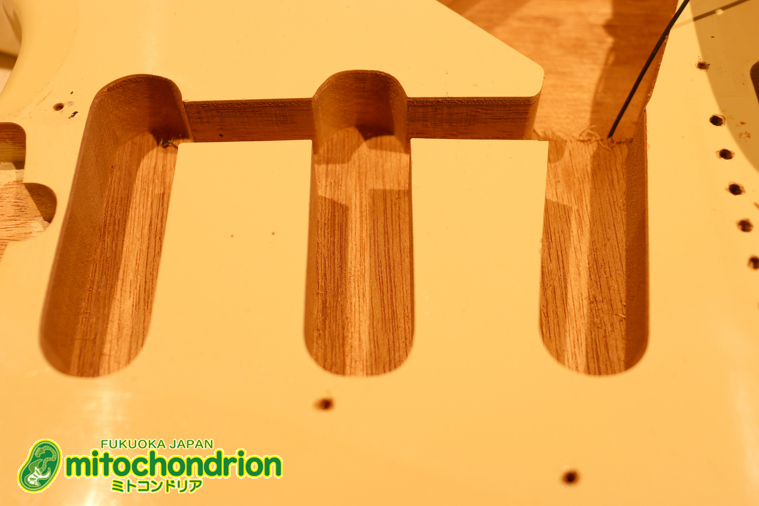 懐かしいギャバンのストラトタイプです！