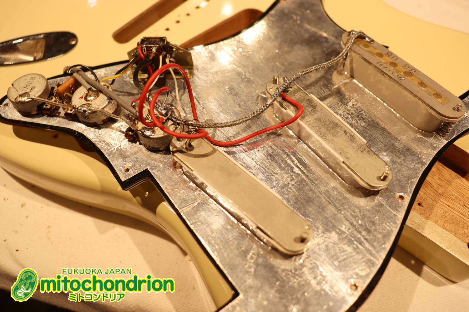 懐かしいギャバンのストラトタイプです！