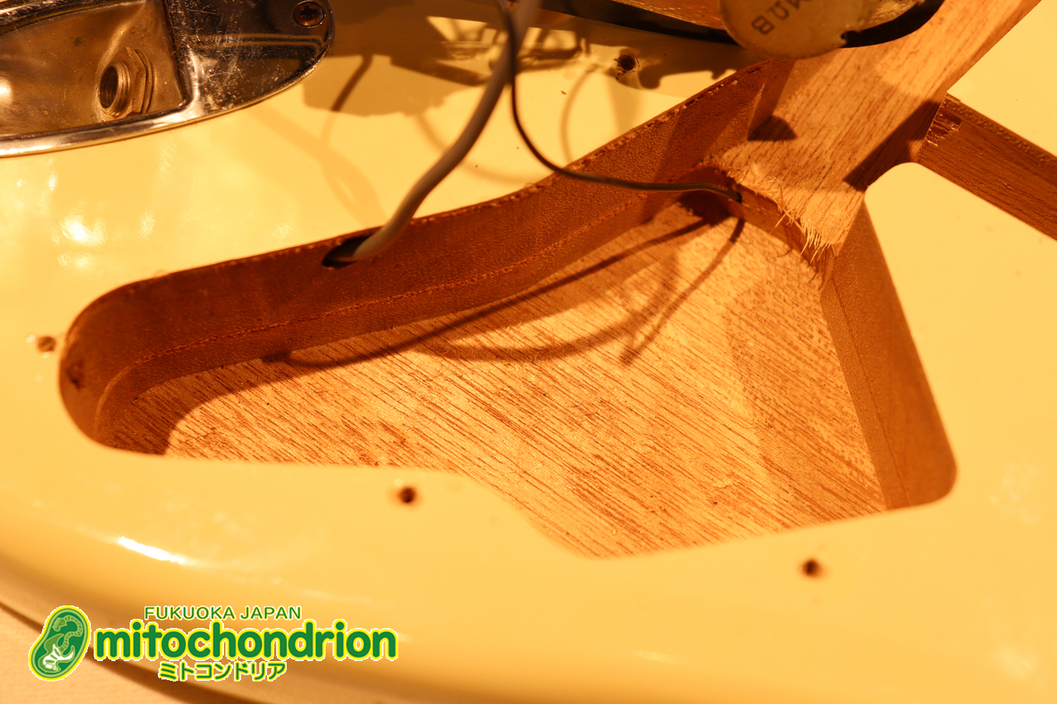 懐かしいギャバンのストラトタイプです！