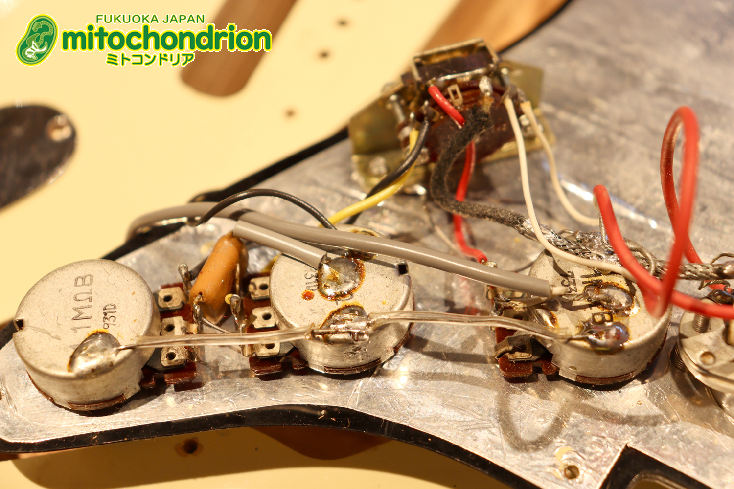 懐かしいギャバンのストラトタイプです！