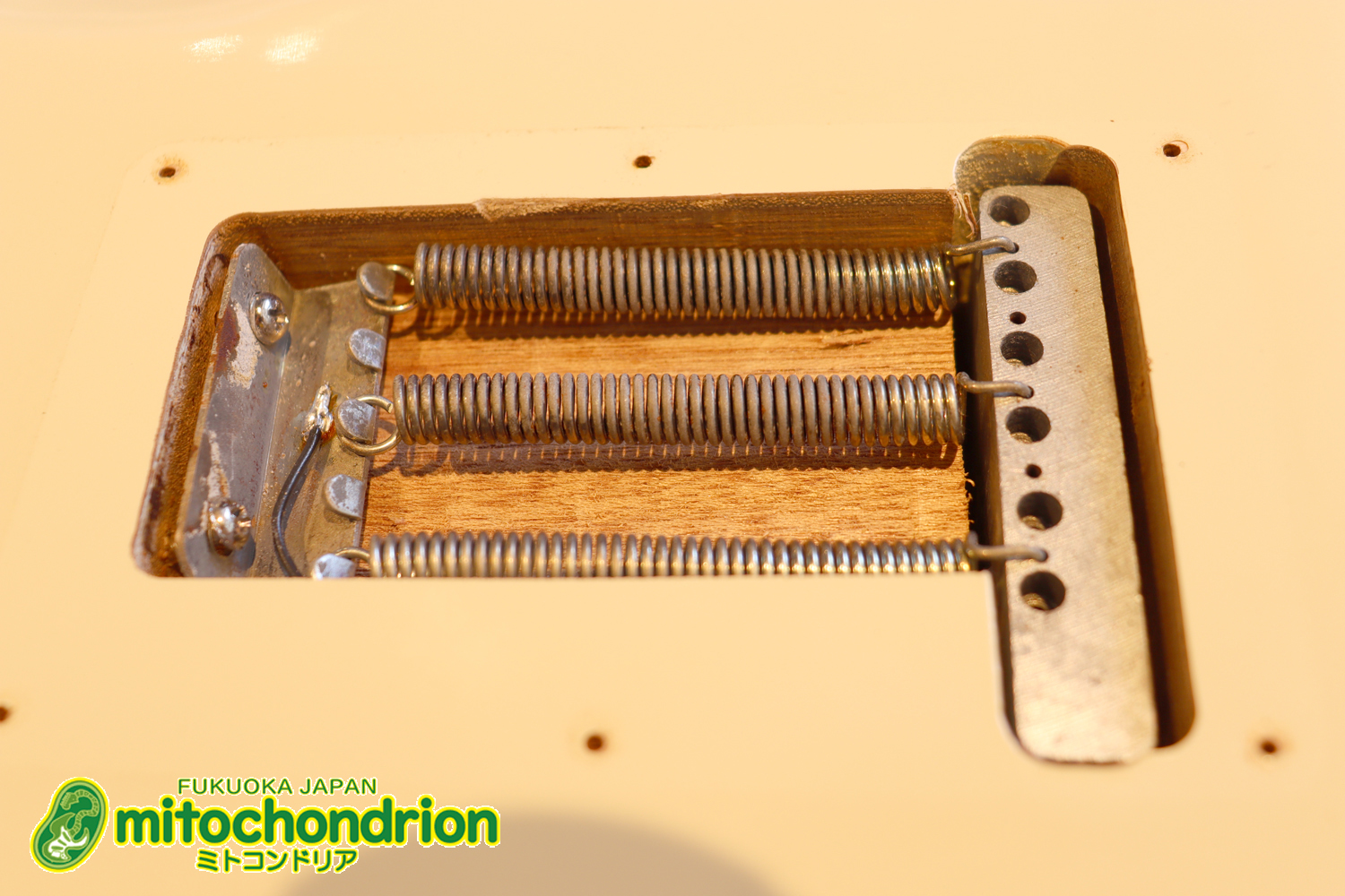 懐かしいギャバンのストラトタイプです！