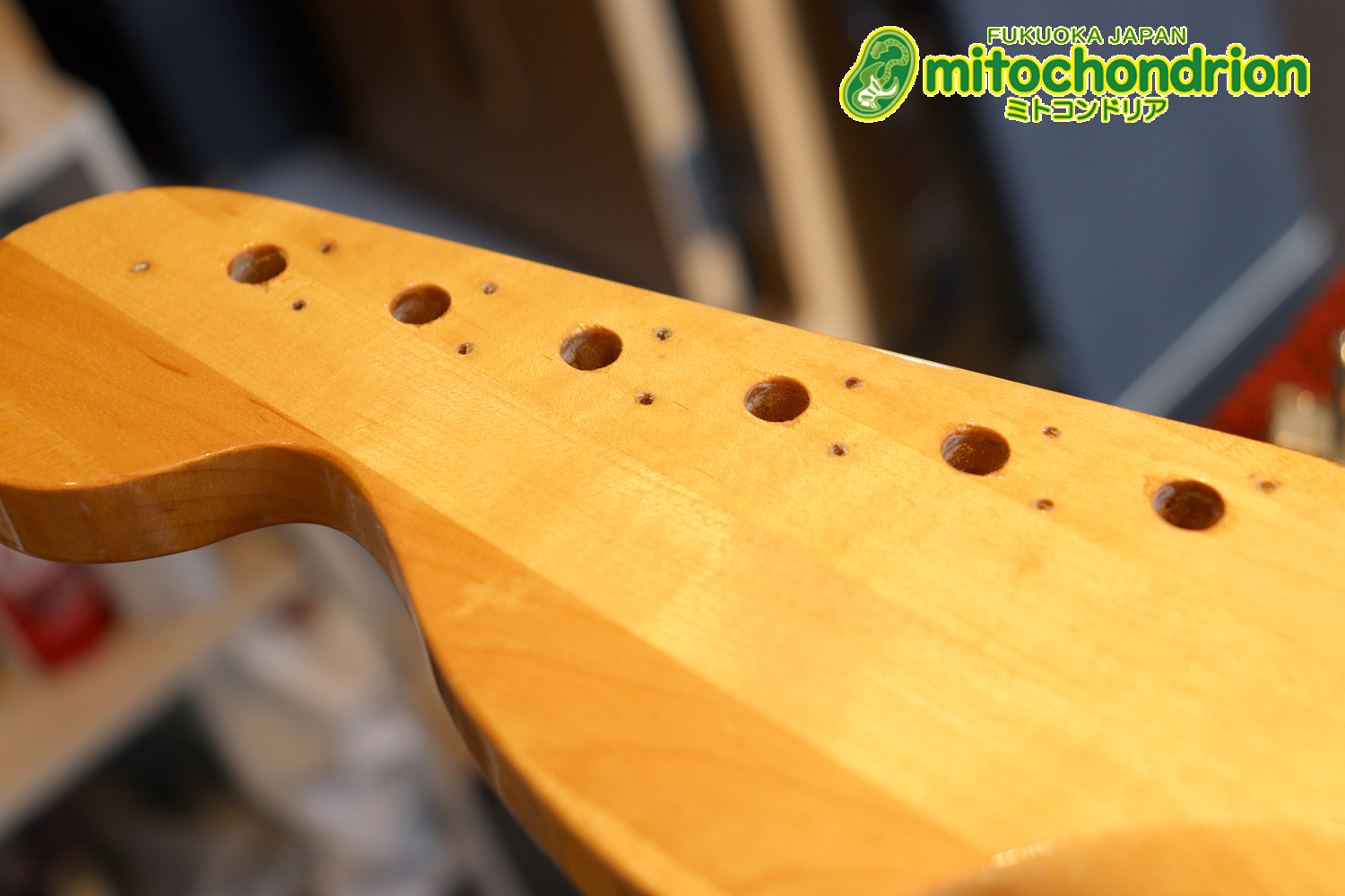 懐かしいギャバンのストラトタイプです！