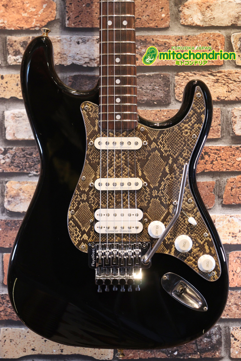 魔改造したフェンダージャパンのラージヘッドモデルです！（ダイナ製）