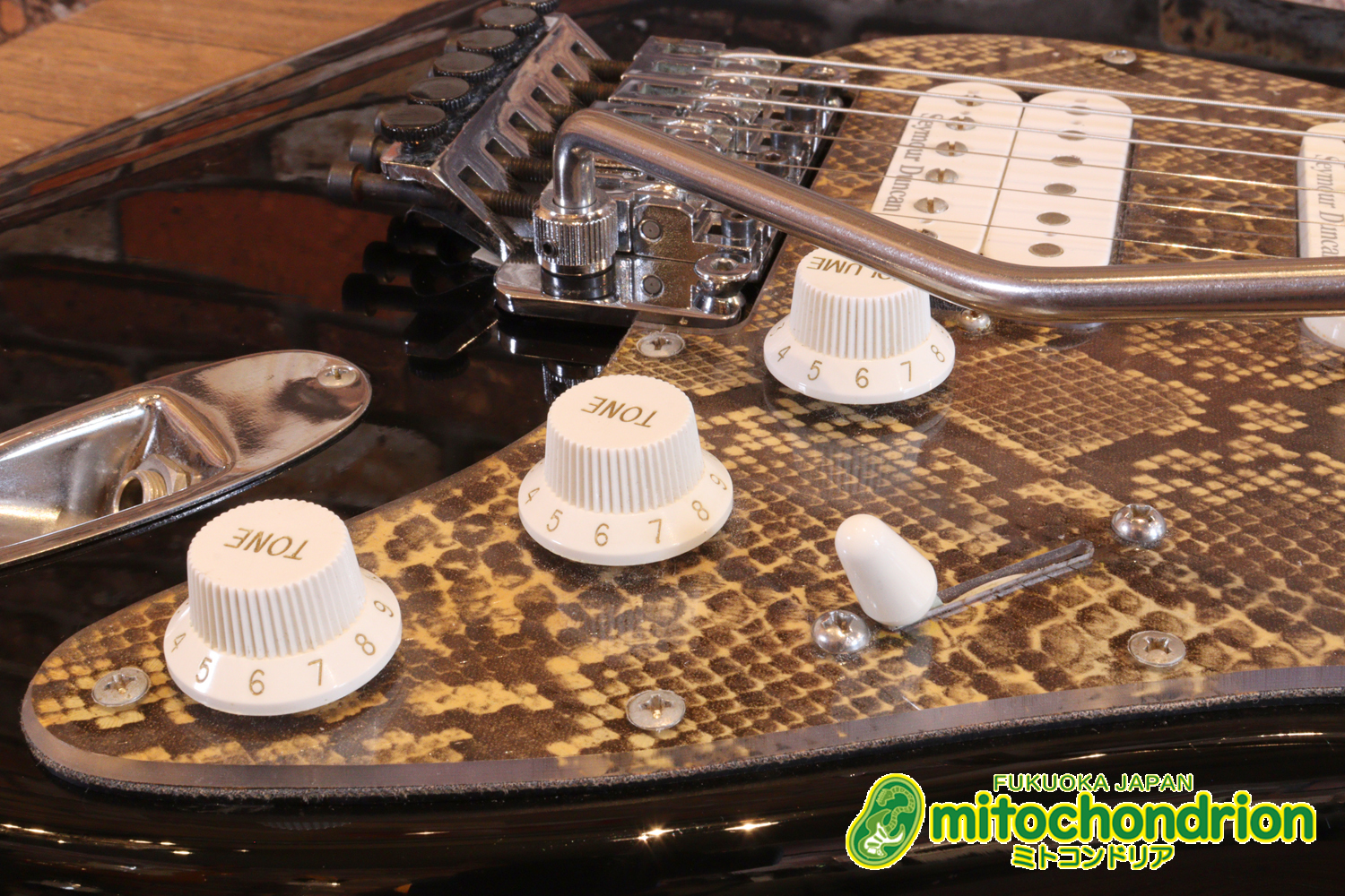 魔改造したフェンダージャパンのラージヘッドモデルです！（ダイナ製）