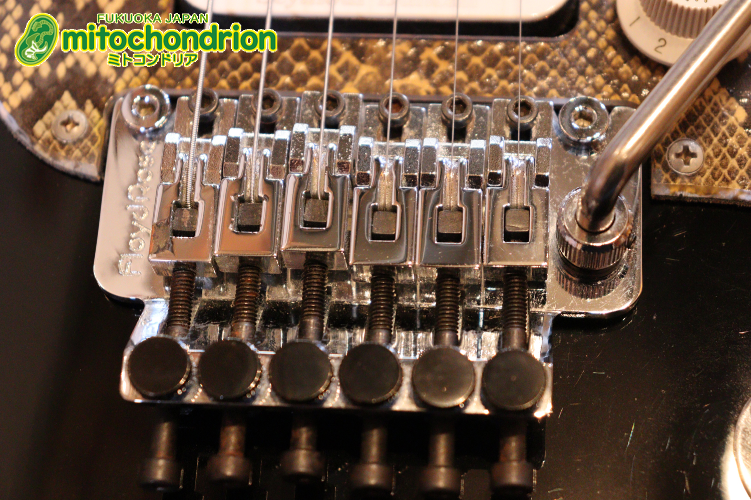 魔改造したフェンダージャパンのラージヘッドモデルです！（ダイナ製）