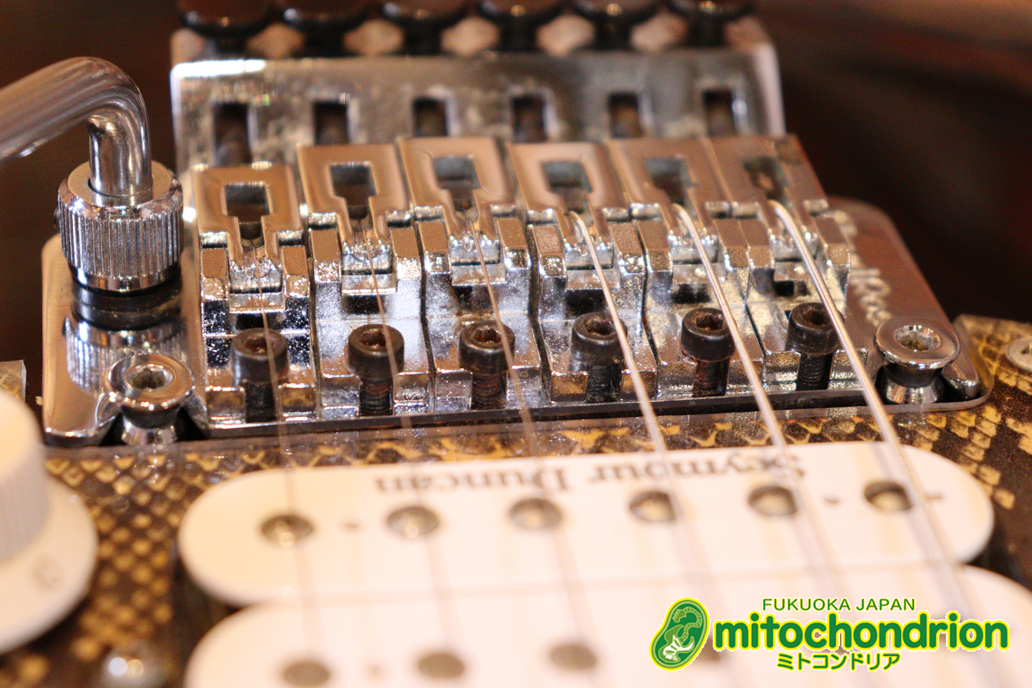 魔改造したフェンダージャパンのラージヘッドモデルです！（ダイナ製）