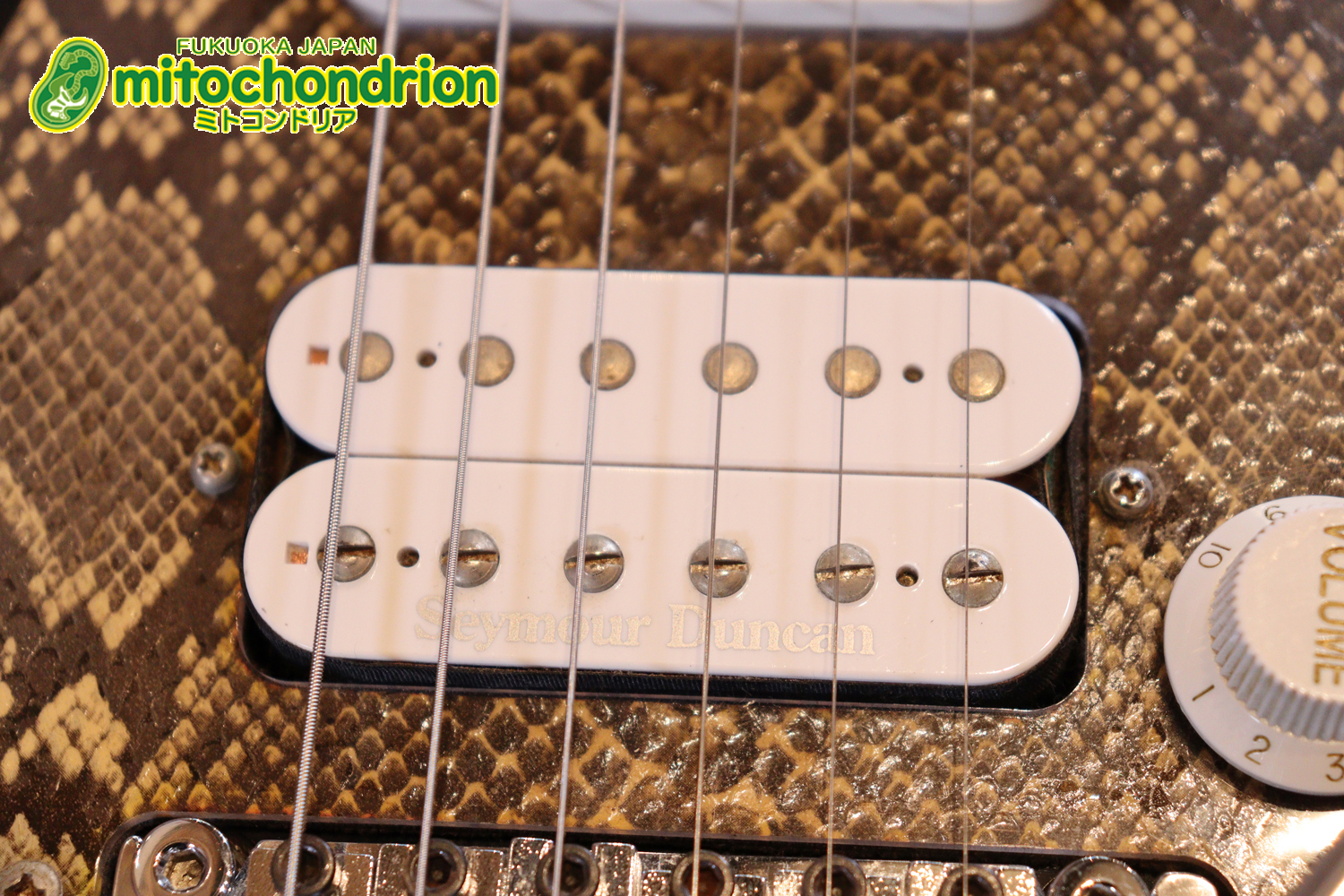 魔改造したフェンダージャパンのラージヘッドモデルです！（ダイナ製）