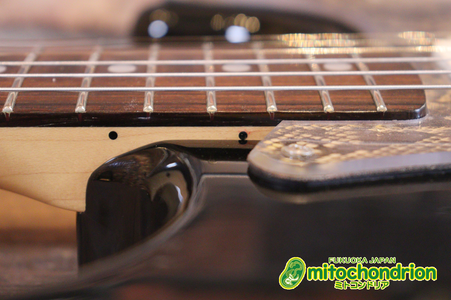 魔改造したフェンダージャパンのラージヘッドモデルです！（ダイナ製）