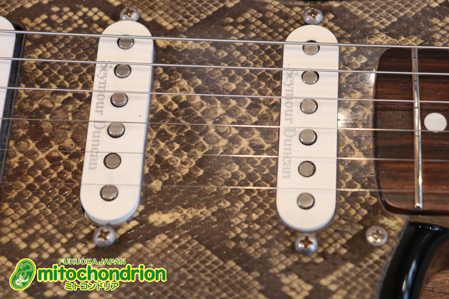 魔改造したフェンダージャパンのラージヘッドモデルです！（ダイナ製）