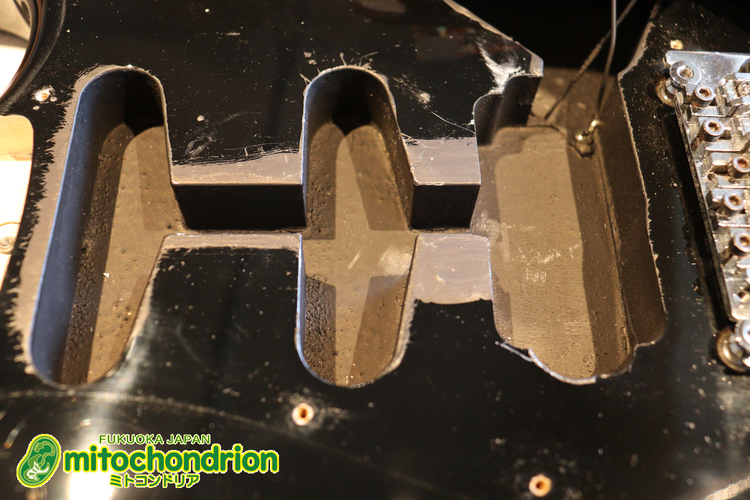 魔改造したフェンダージャパンのラージヘッドモデルです！（ダイナ製）