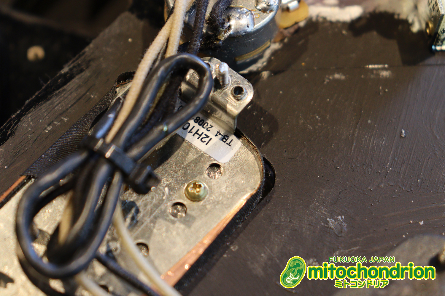 魔改造したフェンダージャパンのラージヘッドモデルです！（ダイナ製）