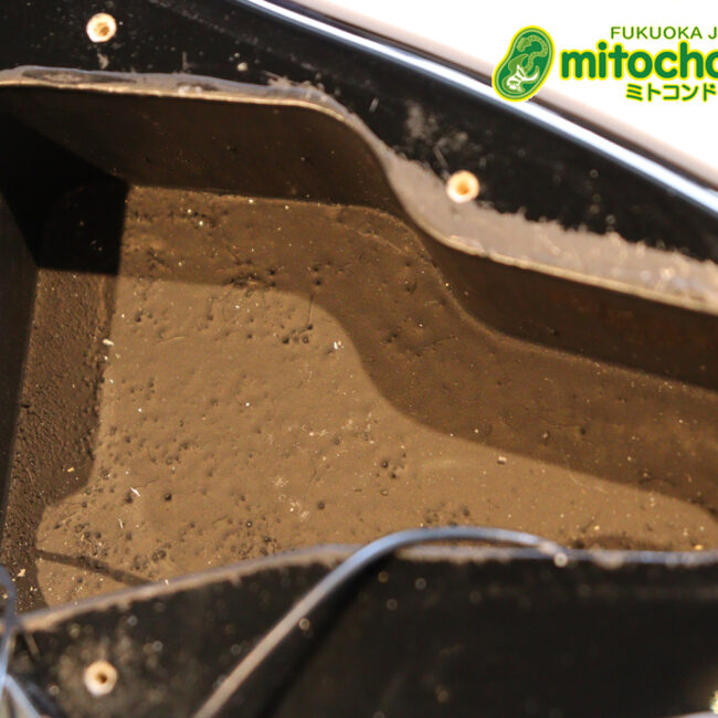 魔改造したフェンダージャパンのラージヘッドモデルです！（ダイナ製）