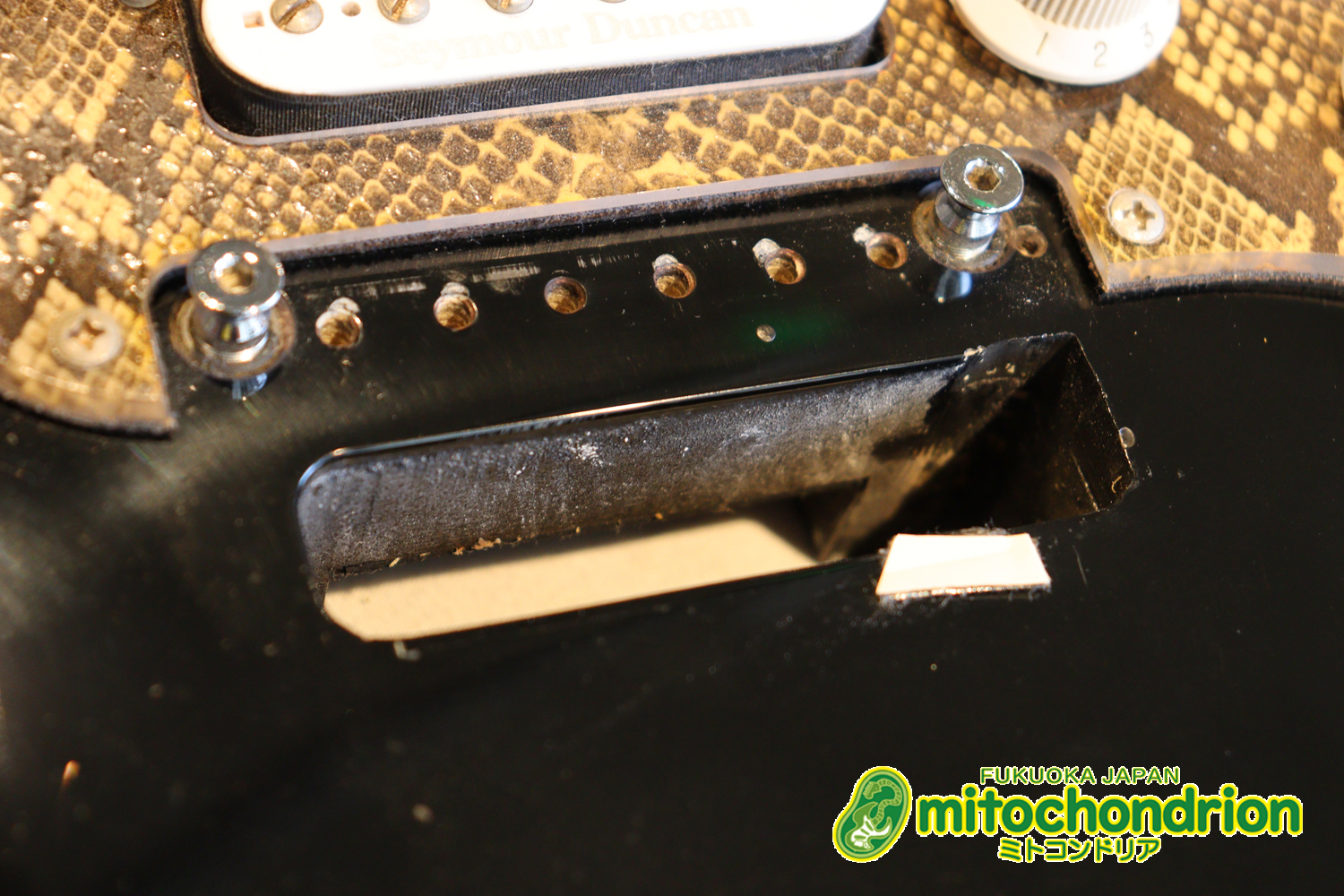 魔改造したフェンダージャパンのラージヘッドモデルです！（ダイナ製）