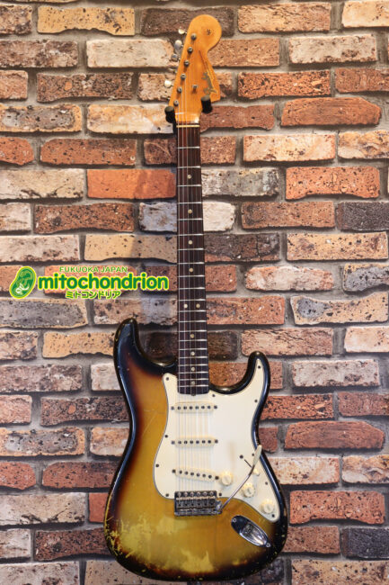 ラージヘッドのストラトキャスター！