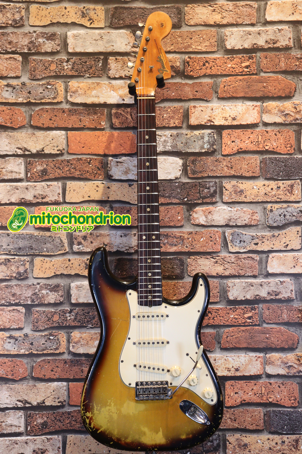 ラージヘッドのストラトキャスター！