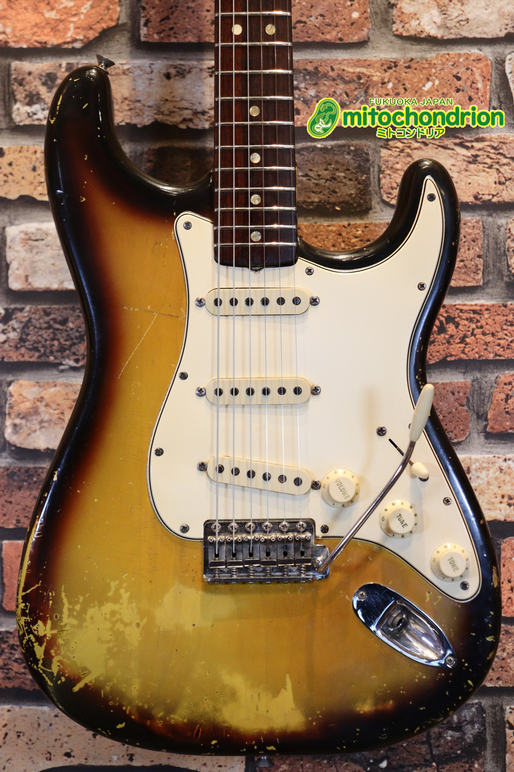 ラージヘッドのストラトキャスター！