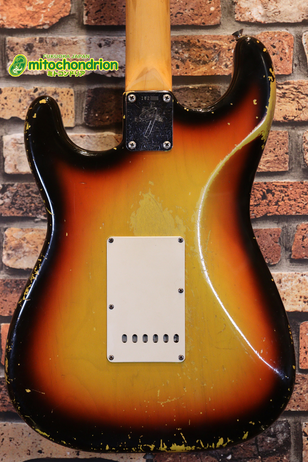 ラージヘッドのストラトキャスター！