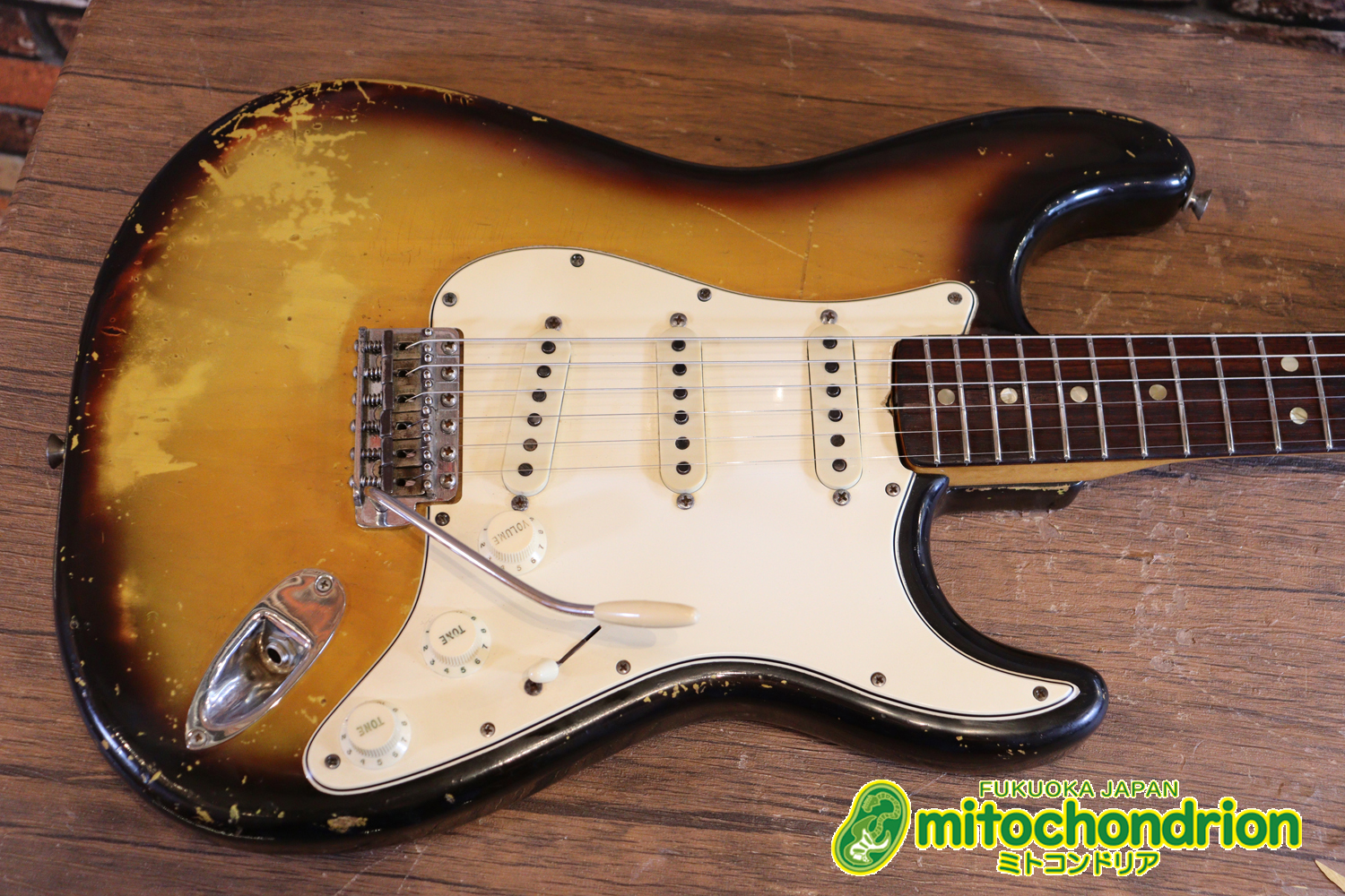 ラージヘッドのストラトキャスター！