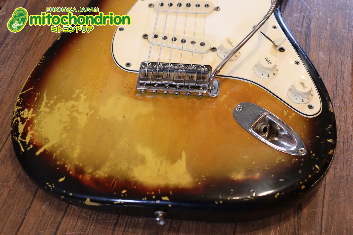 ラージヘッドのストラトキャスター！