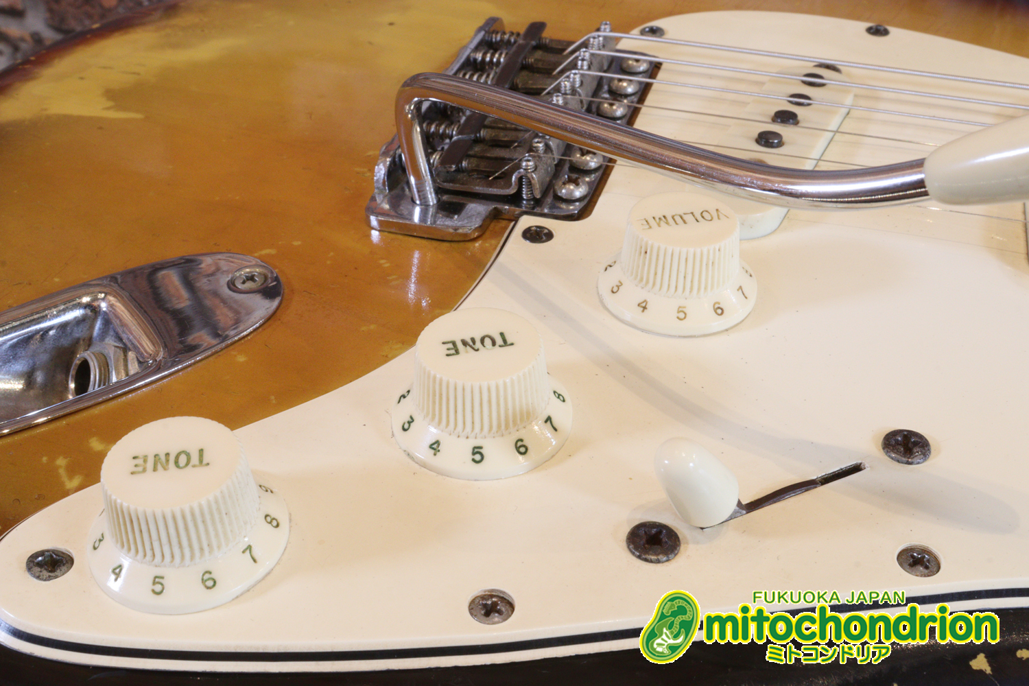 ラージヘッドのストラトキャスター！