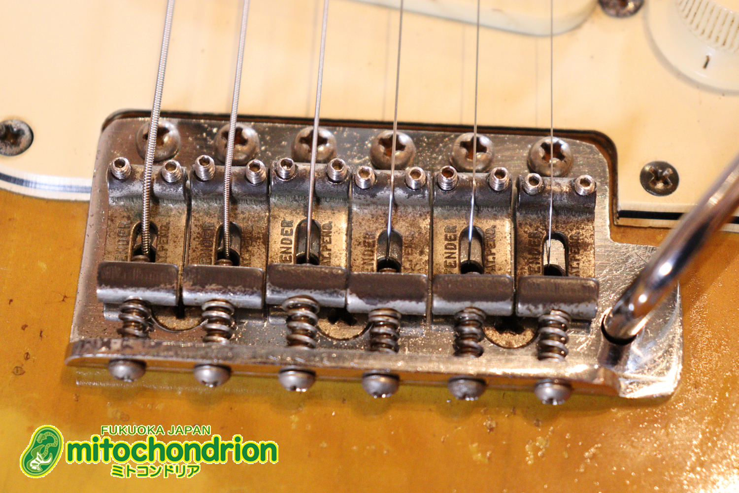 ラージヘッドのストラトキャスター！