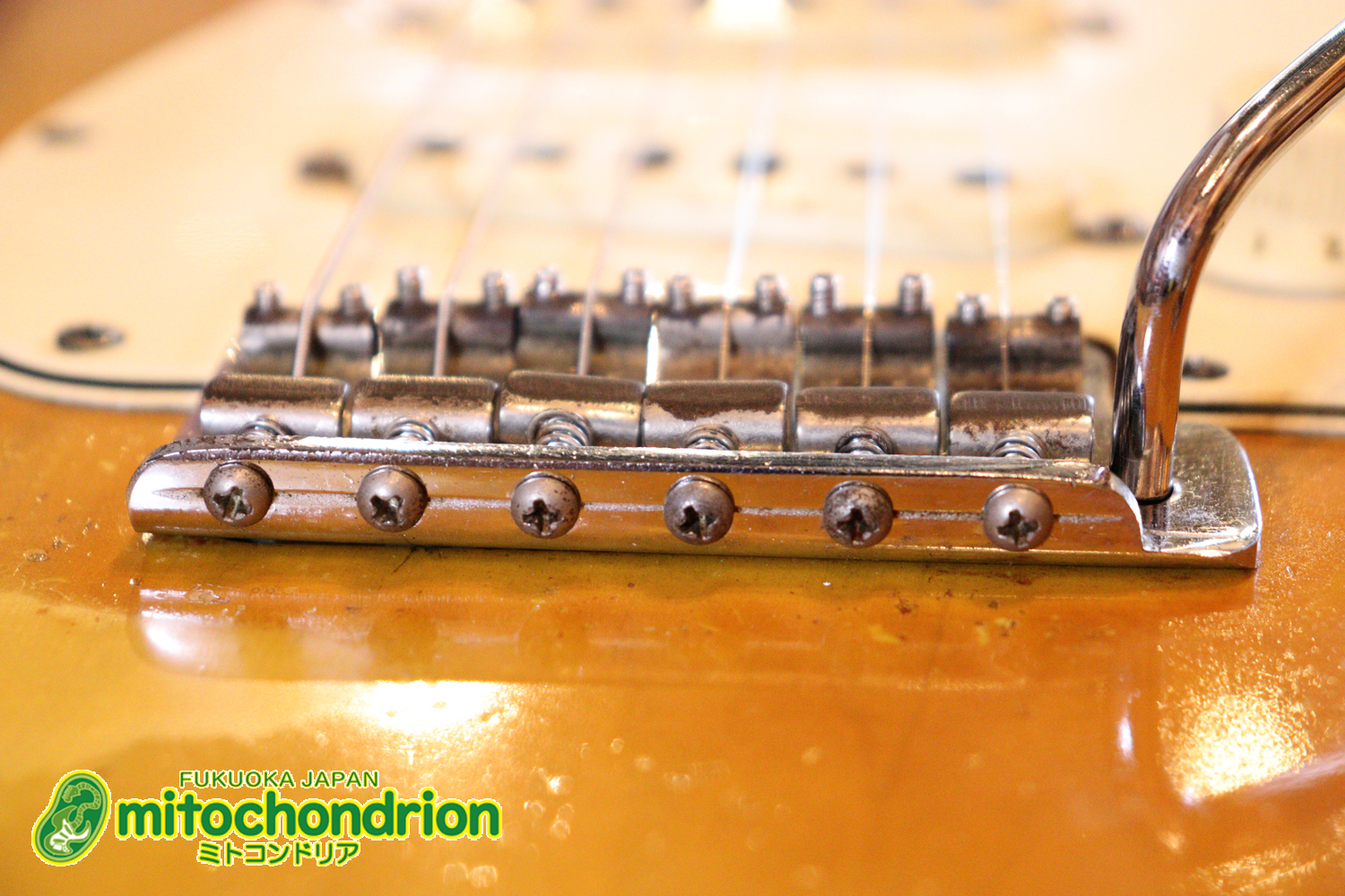 ラージヘッドのストラトキャスター！