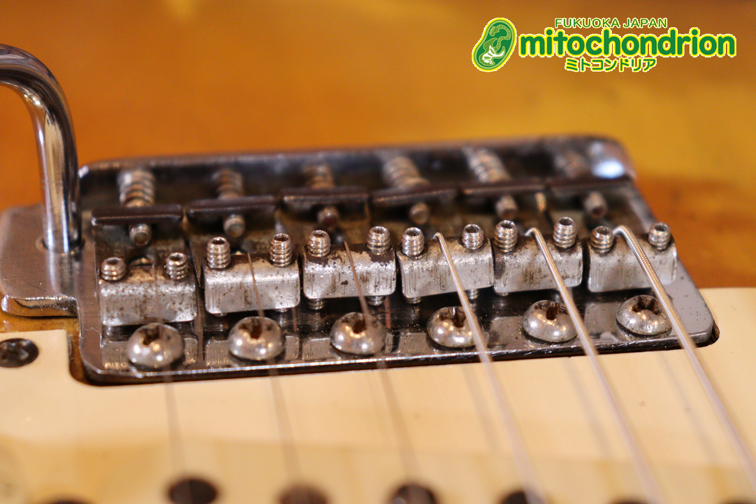 ラージヘッドのストラトキャスター！