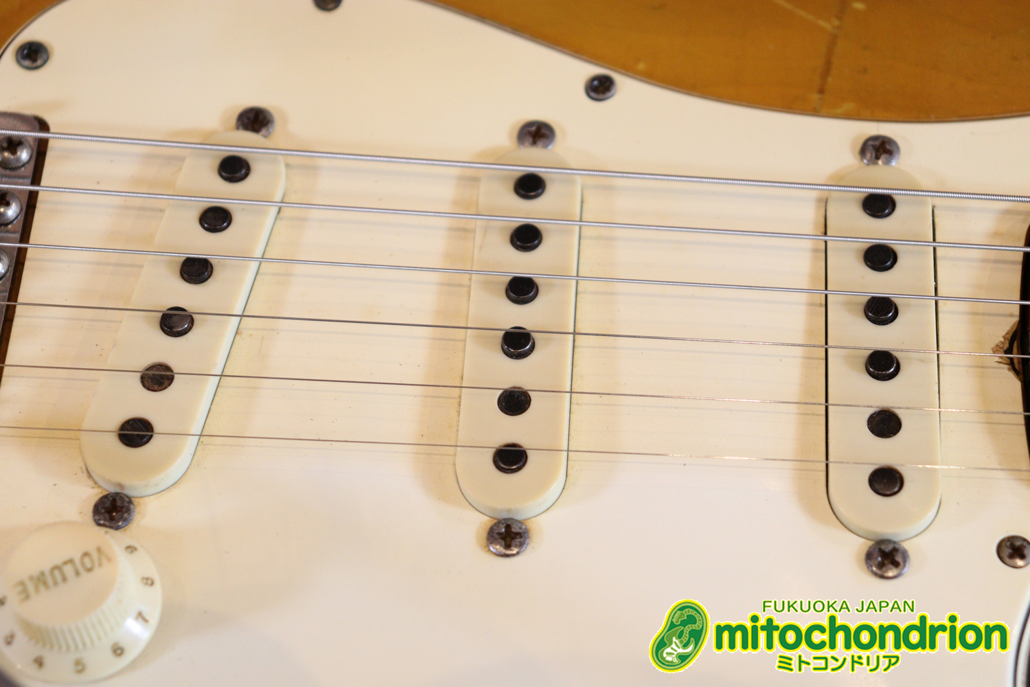 ラージヘッドのストラトキャスター！