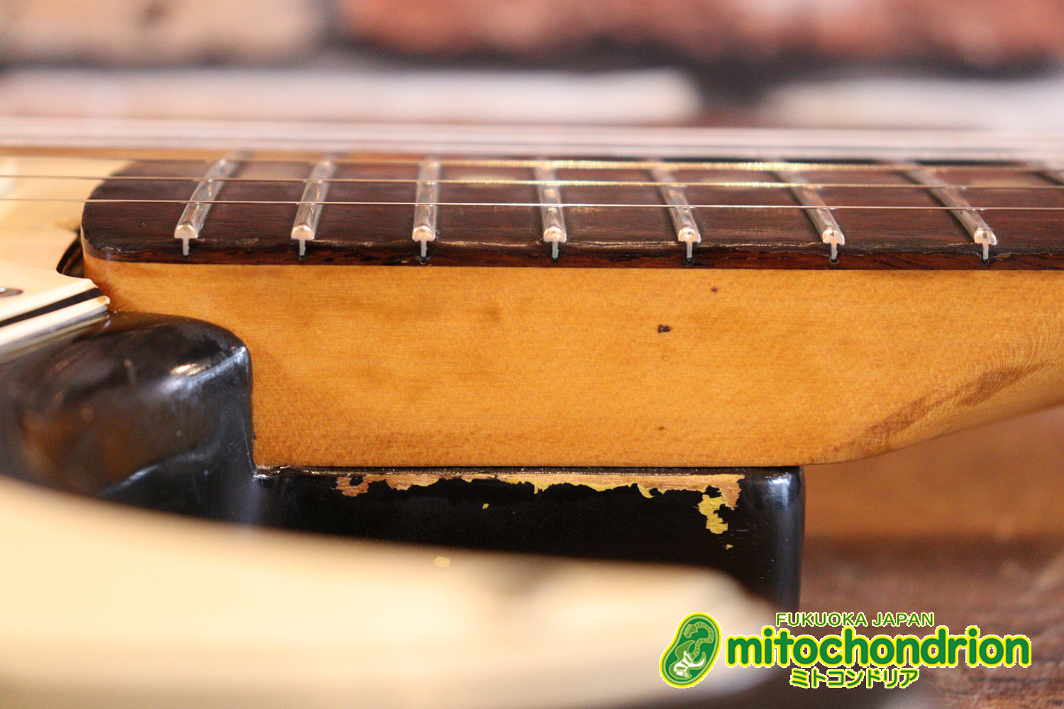 ラージヘッドのストラトキャスター！