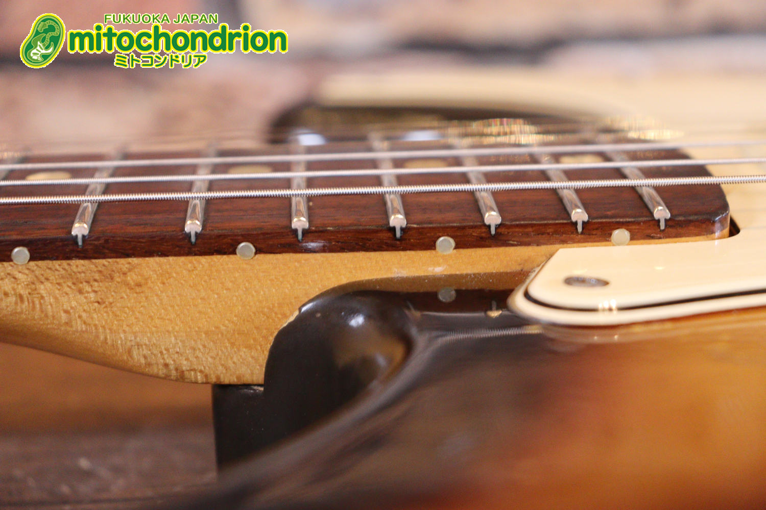 ラージヘッドのストラトキャスター！