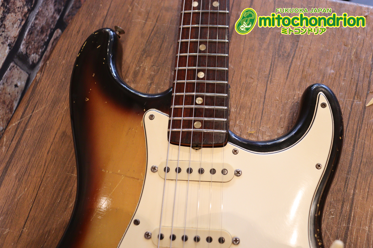 ラージヘッドのストラトキャスター！