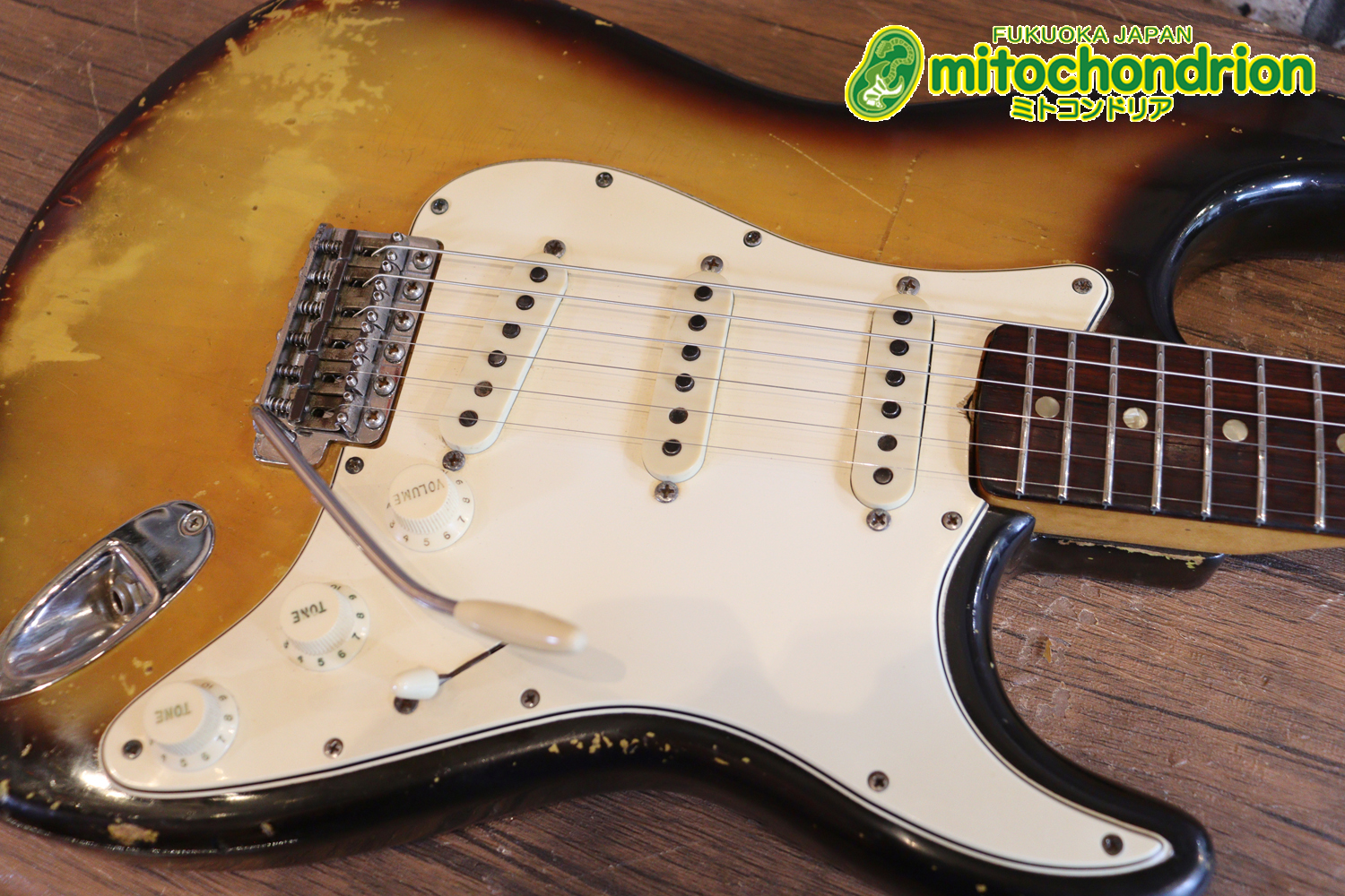 ラージヘッドのストラトキャスター！