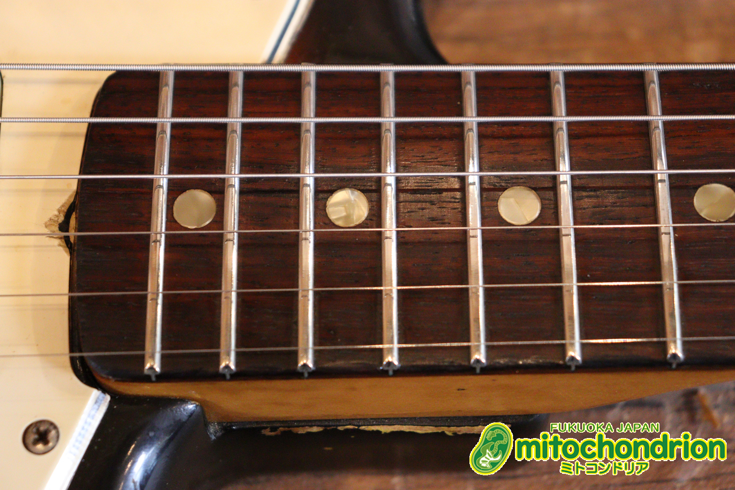 ラージヘッドのストラトキャスター！