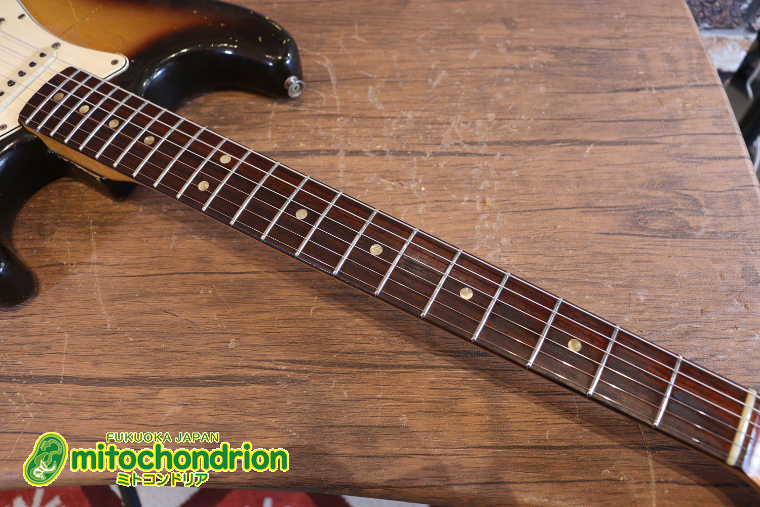 ラージヘッドのストラトキャスター！