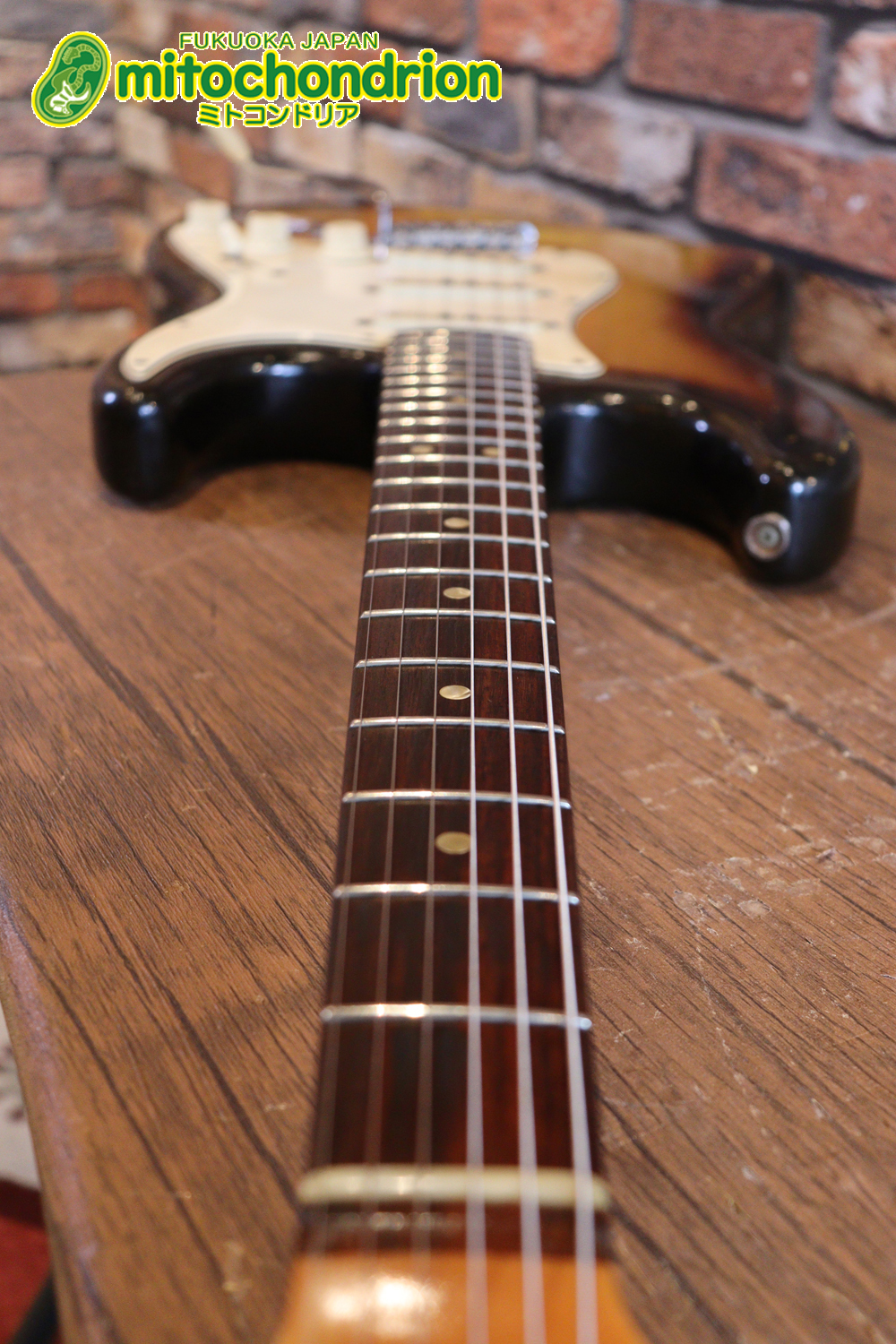 ラージヘッドのストラトキャスター！