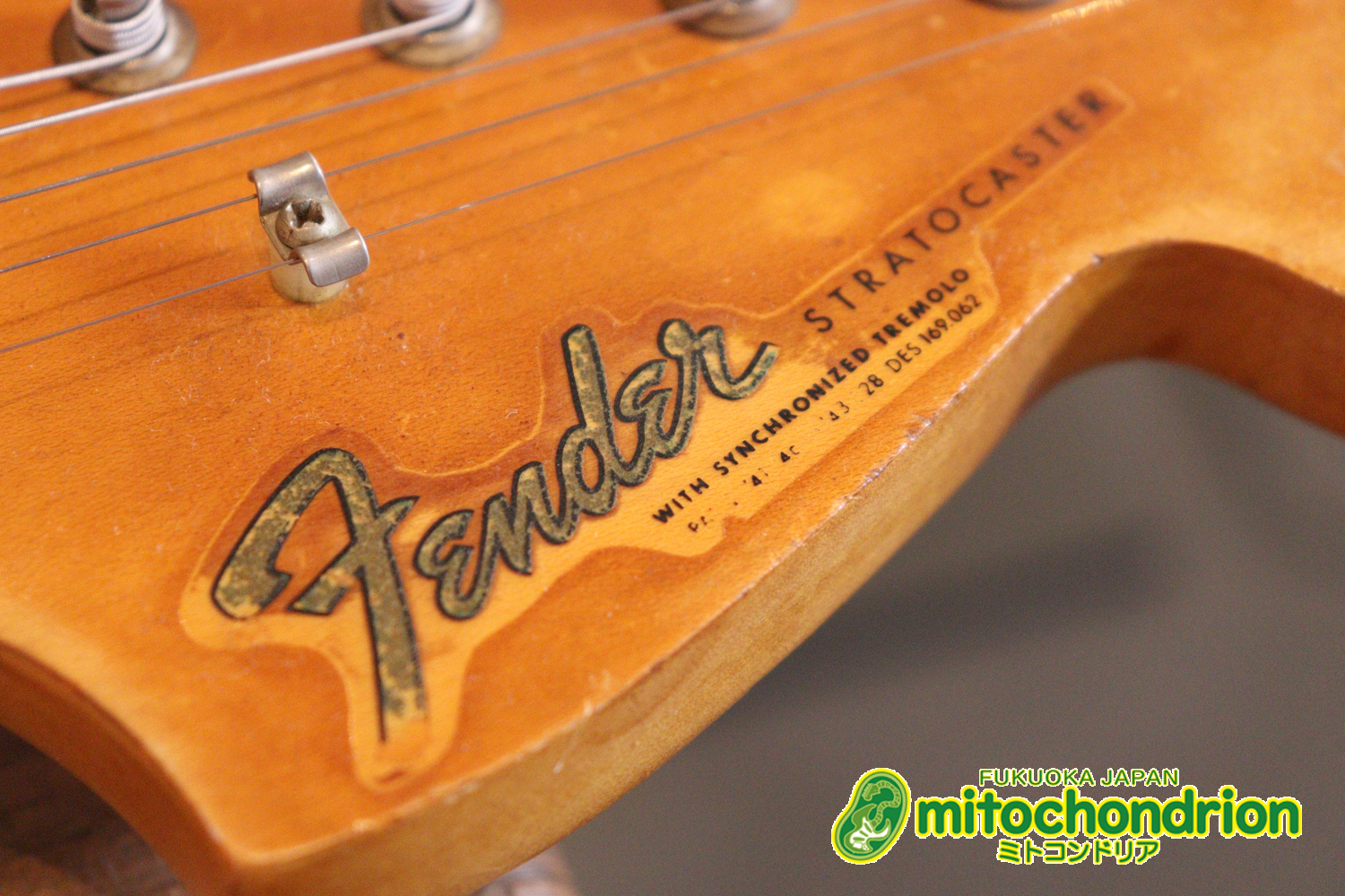 ラージヘッドのストラトキャスター！