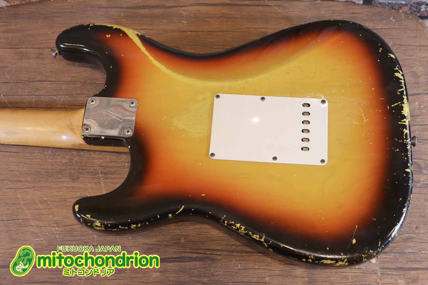 ラージヘッドのストラトキャスター！