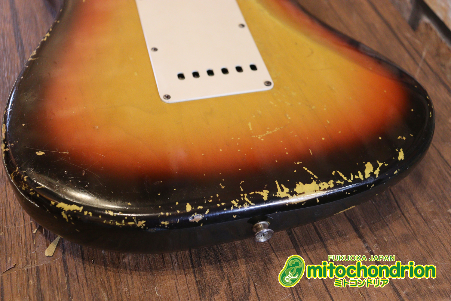 ラージヘッドのストラトキャスター！