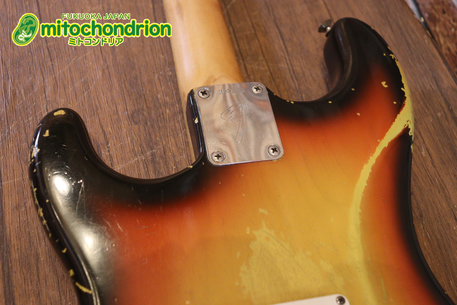 ラージヘッドのストラトキャスター！