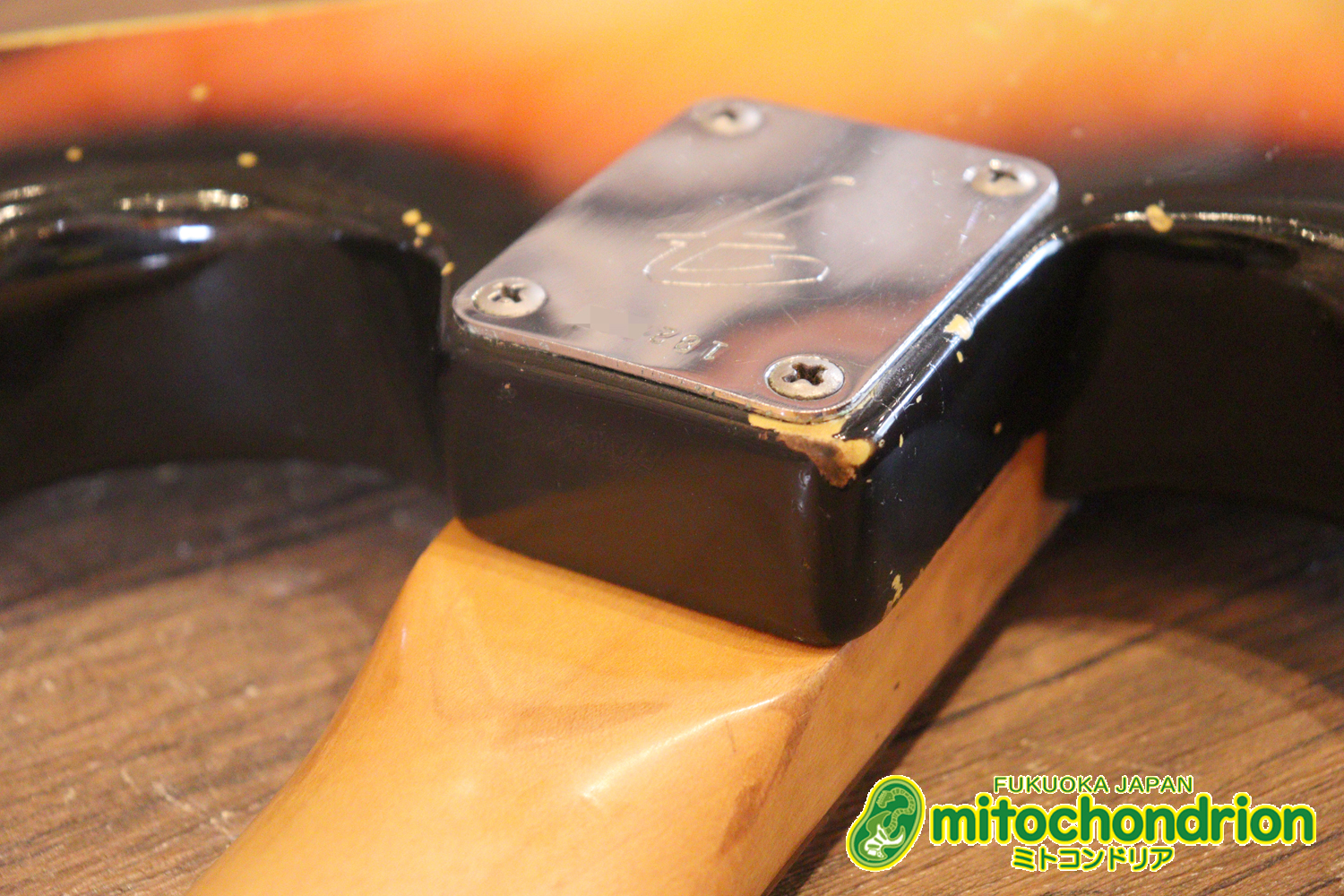 ラージヘッドのストラトキャスター！