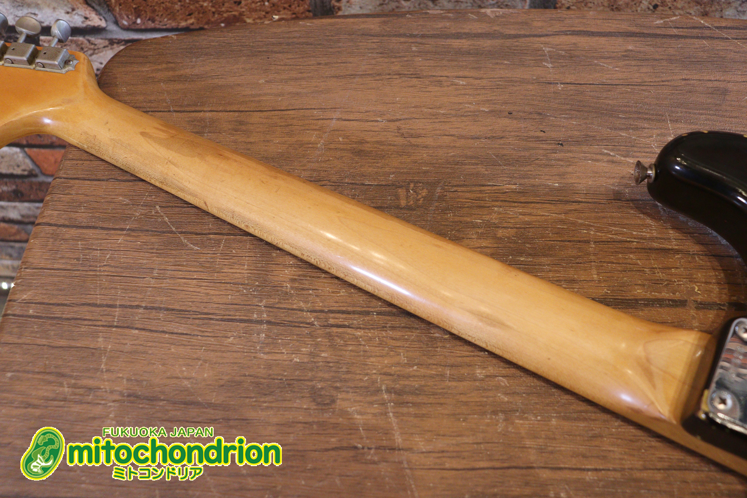 ラージヘッドのストラトキャスター！